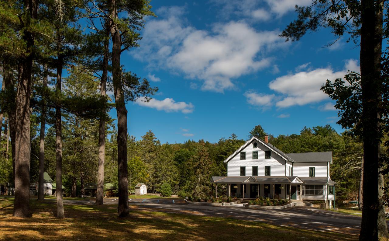 The Cottage In The Pines Cahoonzie Exteriör bild